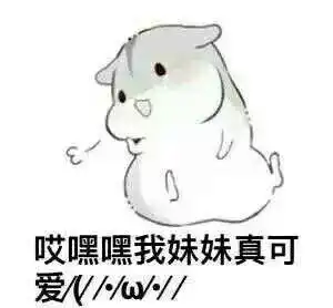  小仓鼠表情包系列妹妹
