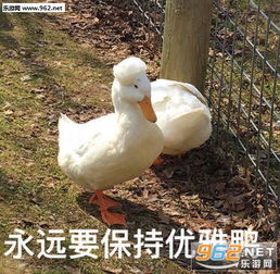  你知道的太多了表情包图片你根本不是自己人拿枪表情包下载乐游网游戏下载