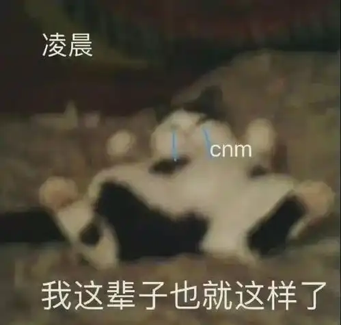  当回避型遇上焦虑型,那些爱得激烈分得惨烈的星座配对