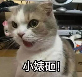  高圆圆晒照说好友14年没变,然而更美的是她自己