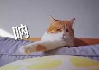  抖音撩妹套路问题有哪些抖音撩妹问题汇总一览