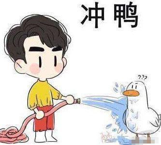  冲鸭表情包大全