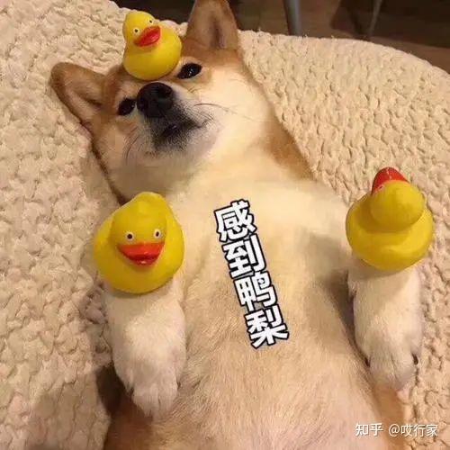  2021年海归将突破百万,互联网金融医药内卷严重