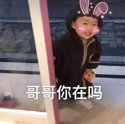  四更无处安放的表情包lulu猪表情在最后嗷
