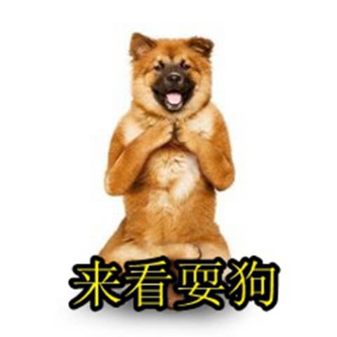  表情表情包保护好我的小公主表情