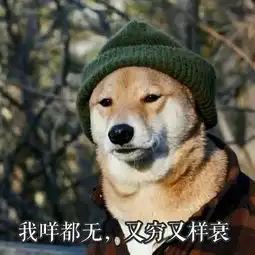  表情包月底没钱了,行行好吧