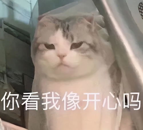 小坏蛋表情包欺负