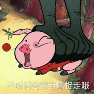 猪和猪亲吻表情包迷信