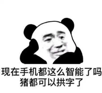  熊猫头表情渣男从不心动