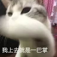  妇联同款口红,了解一下