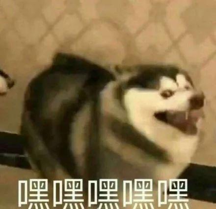  为了拒绝别人你用过哪些借口前男友为和我分手,骗我说他妈死了