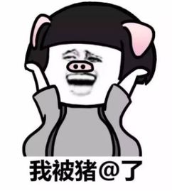  我被猪艾特了表情包图片预览