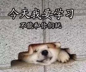  考研表情包,有我有你也有他
