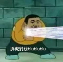  拯救尬聊的不是表情包和哈哈哈,是它们