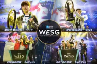  wesg世界总决赛落幕zowiegear引玩家热捧