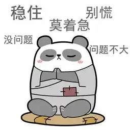  滚滚饼干的完美佛系演绎