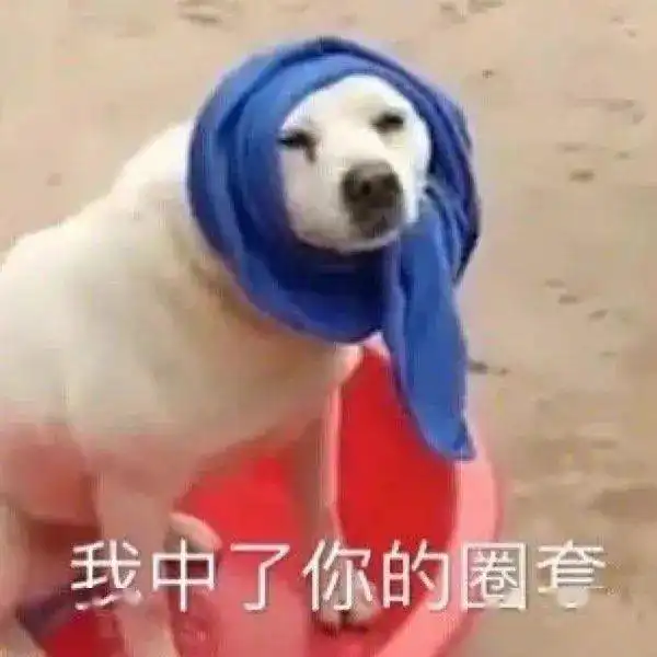  比划你爹