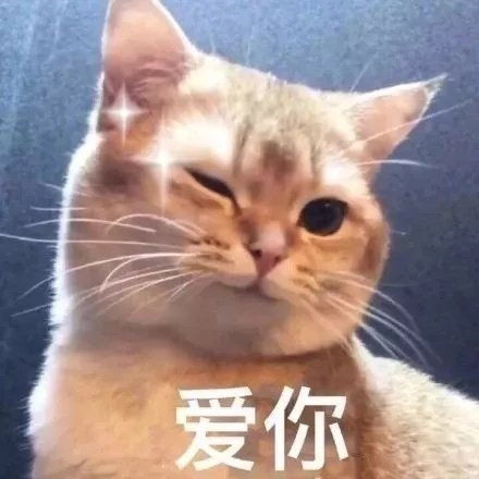  可爱表情包拿图片宝贝,我爱你,每天都想对你说