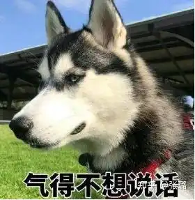  高锰酸钾球除甲醛好用吗