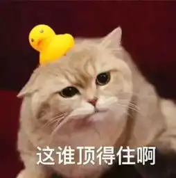  阳光易逝,已成限量版,今夜起迎强降雨