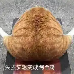 算我求你的表情包猫鸡腿
