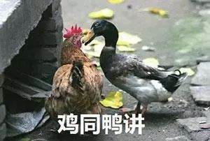  天津相声广播刚在峡谷和白起拼个你死我活,又要和白起谈恋爱