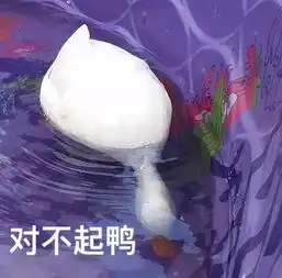  斗图日常今日份的鸭鸭