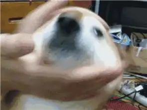  精选图片帖第9页