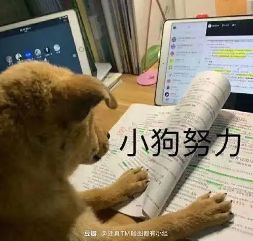  省考,事业编都失败了,没有跑路成功,只能留下挨骂