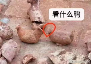  我只想在海珠静静过日子,没想到成了古墓派传人