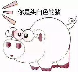  搞笑斗图表情包你是头七彩猪