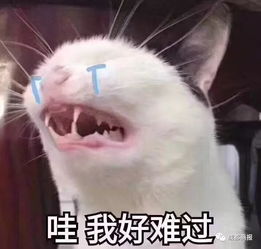  消息半边天,节日快乐看到你们晒的礼物真是又惊喜又...惊吓