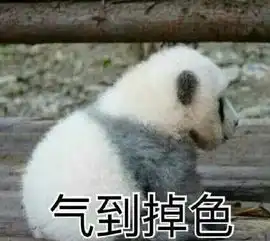  看完大家买过最坑的网购美食,我只能哈哈哈哈哈