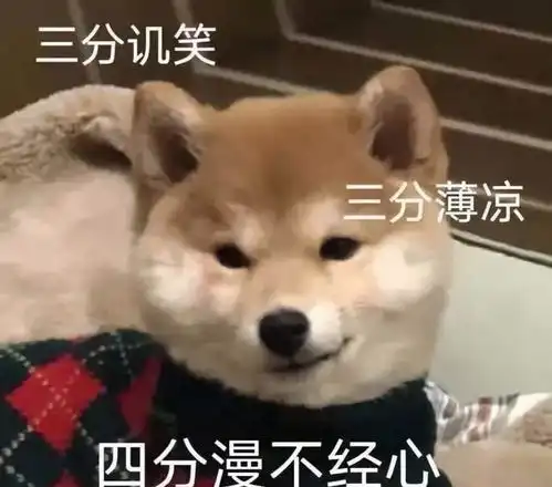  一名教师如何走到百分之二十的教师群体里,站在教育的金字塔顶端