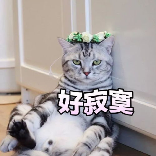 微信表情包什么意思孤独
