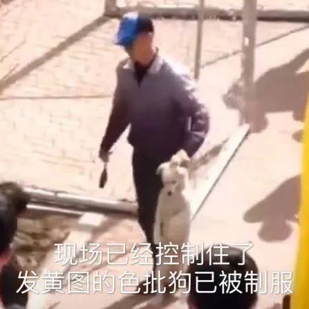  斗图精选表情包在吗出来挨打