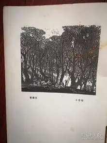  丑小鸭作者介绍附照片郭辉圆满耿毅军云傅建煌容纳我的空间陈铁军遥远的沙漠骑骆驼的人吴海民随文学,莫莉茵街头的维纳斯,陈朝行蒋锡元叶梅冯峥田舒强孙步康李叔德陈杰黄望梅黄堃廖静