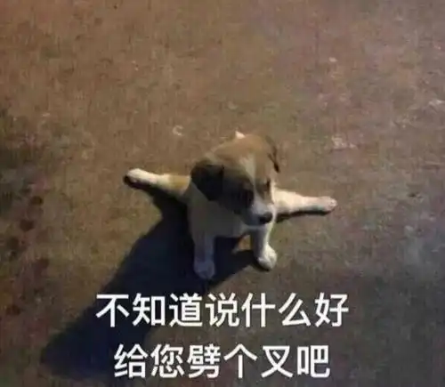  职校学生未毕业被抢空网友请不要自欺欺人