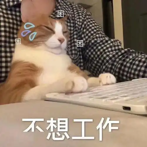  100个沙雕有趣的搞笑表情包