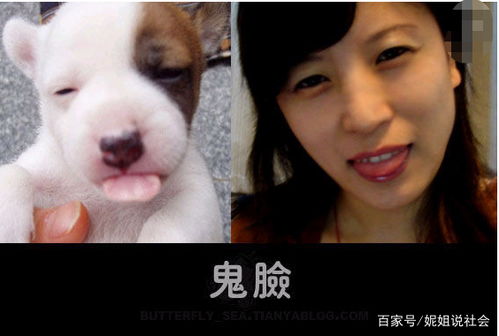  gif搞笑图美女半夜马路边做坏事,真让人意想不到