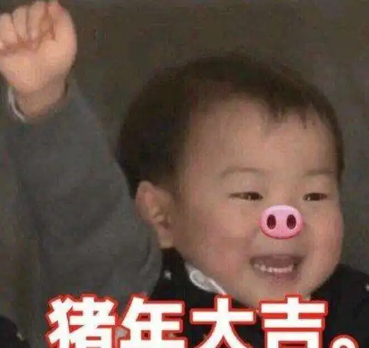  看完今年春晚,来盘一下那些被玩坏的猪猪们