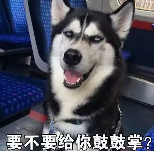 狗头表情包原型下一秒