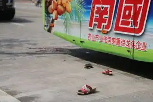  新浪网汽车交通万象列表