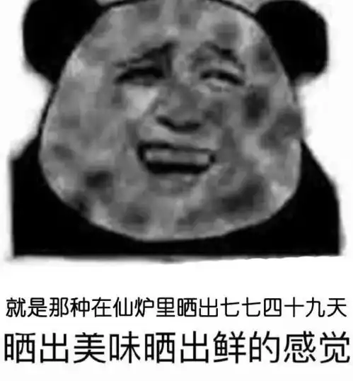 怀孕套路图表情包帕鲁