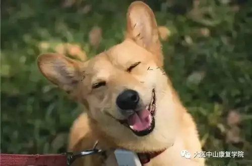  你微笑的时候,世界是明媚的