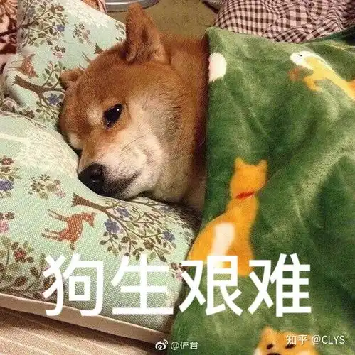  大学一些专业男女比例失衡对个人的心理和恋爱观的影响