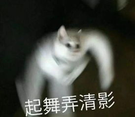  车上有这些配置的就赚了,大部分人车上都没有太原司机注意