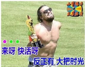  这件polo衫,让我成为了众人惊叹的焦点