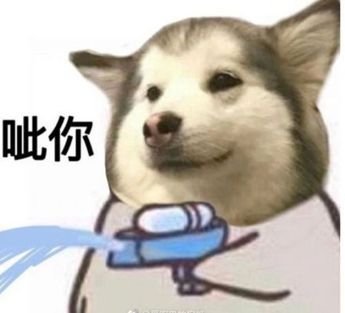  热门沙雕表情包第四期
