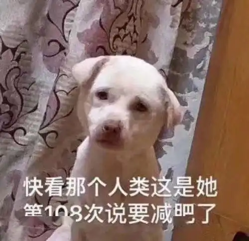减肥减个屁表情包放屁